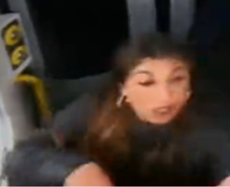 Other image for Police investigation launched over train fight